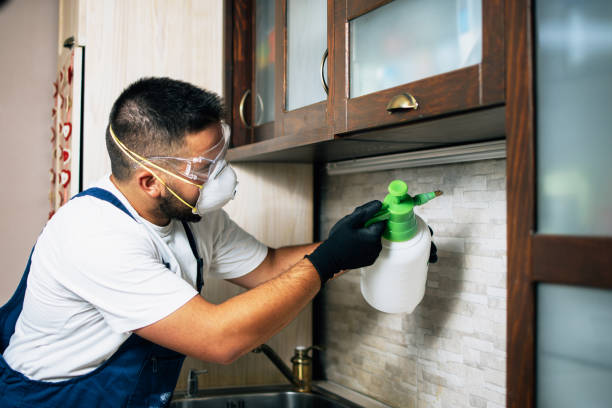 Best Mosquito Control Services  in Stone Ridge, NY