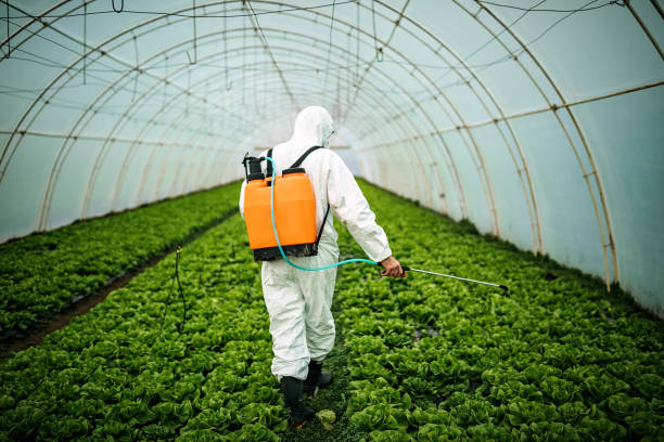 Best Local Pest Control Services  in Stone Ridge, NY