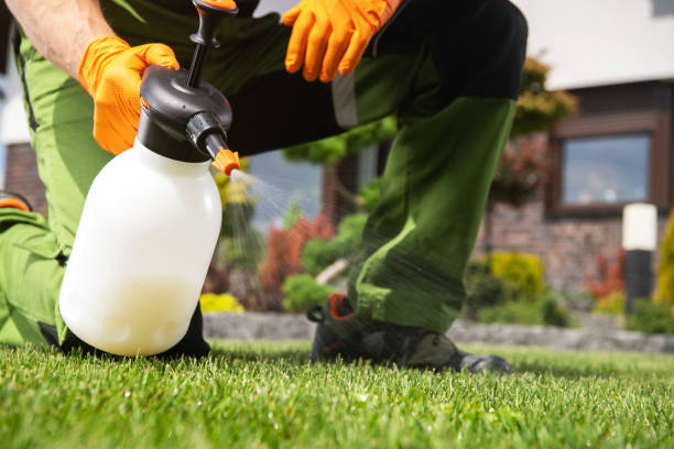 Best Wildlife Control Services  in Stone Ridge, NY