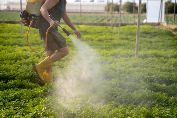 Best Pest Removal Services  in Stone Ridge, NY