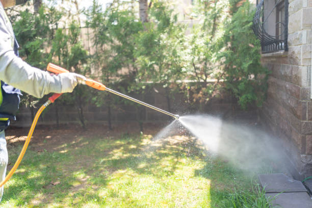 Best Wasp Removal Services  in Stone Ridge, NY