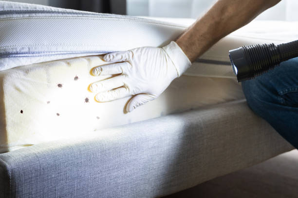 Trusted Stone Ridge, NY Pest Control Experts