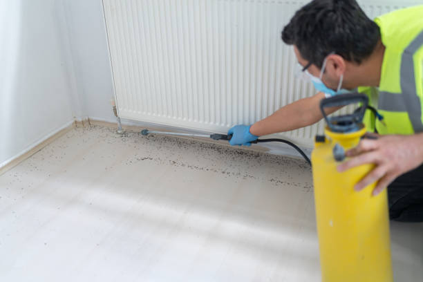 Stone Ridge, NY Pest Control Company